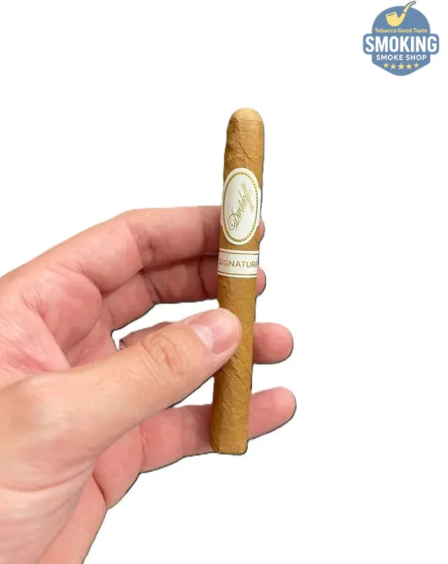 🚬 Davidoff Signature 1000 — سيجار دافيدوف سيجنتشر 1000 ( علبة 5 قطع ) 
